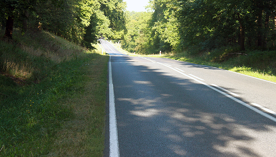 droga Sieraków-Międzychód